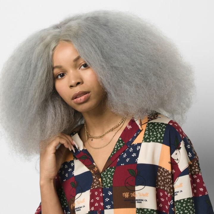 Vans Anaheim Og κοντομάνικο υφαντό πουκάμισο καστανόξανθο λιμάνι