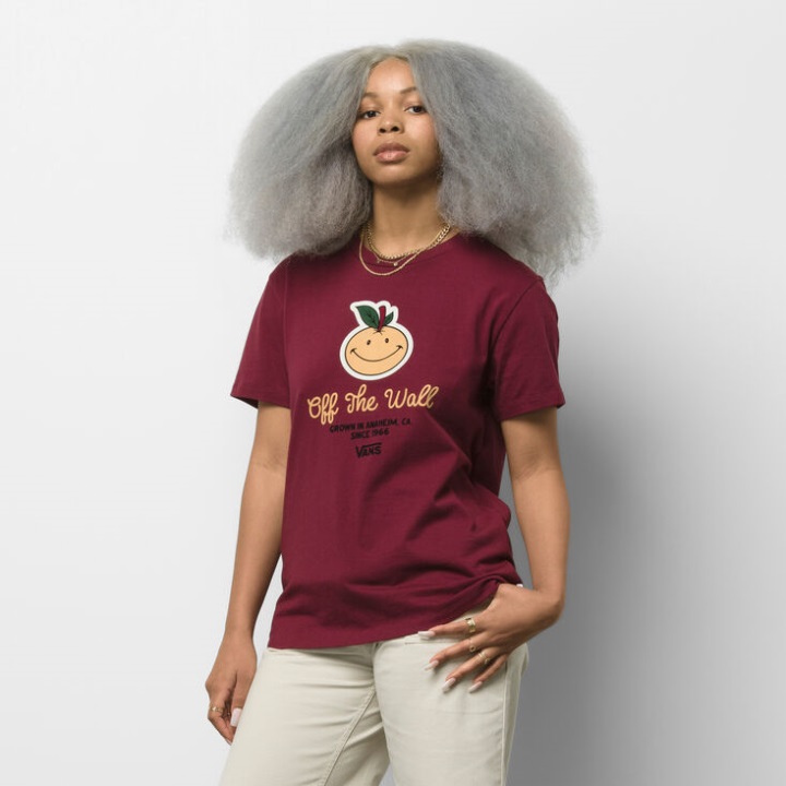 Vans Anaheim και Bff Tee Tawny Port