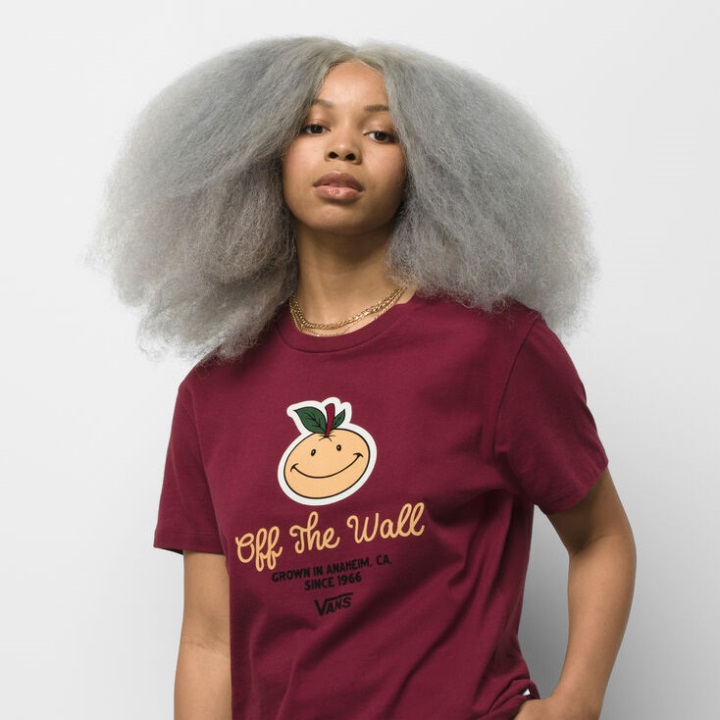 Vans Anaheim και Bff Tee Tawny Port