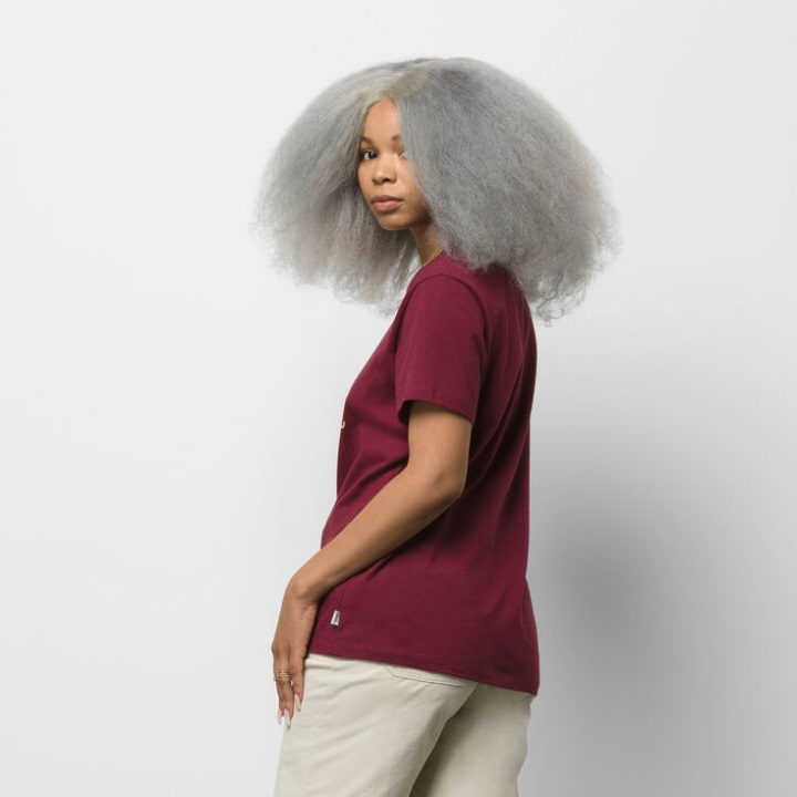 Vans Anaheim και Bff Tee Tawny Port