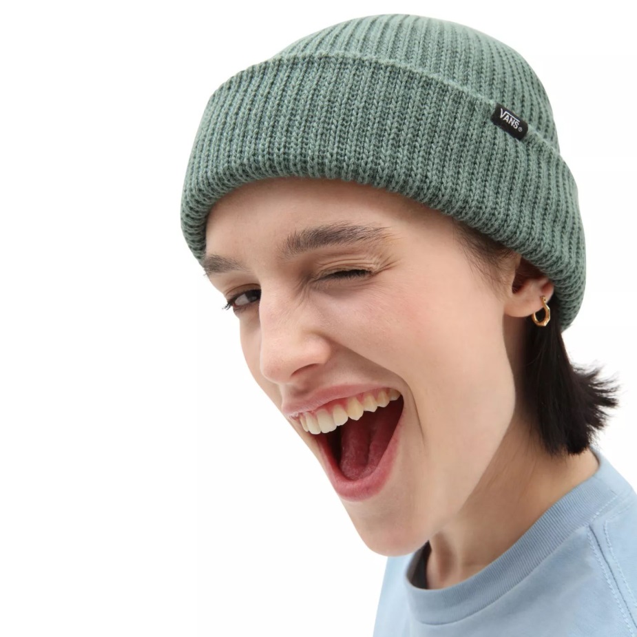 Vans Core Basic Beanie Green