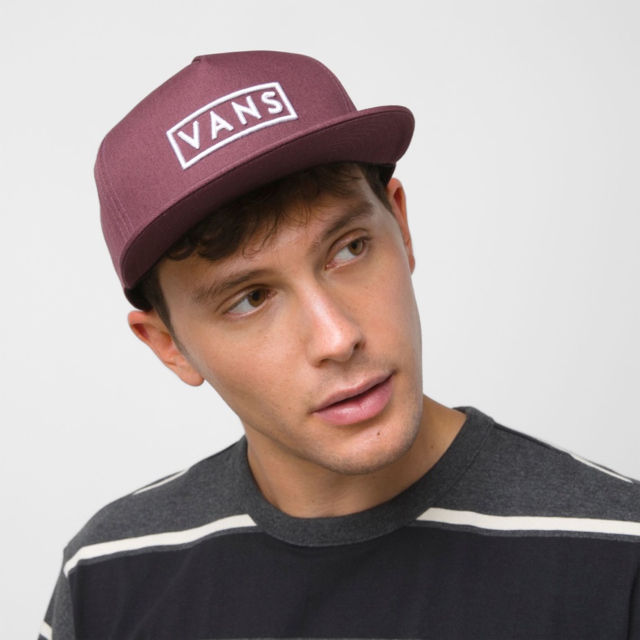 Vans Easy Box Snapback καπέλο Catawba σταφύλι