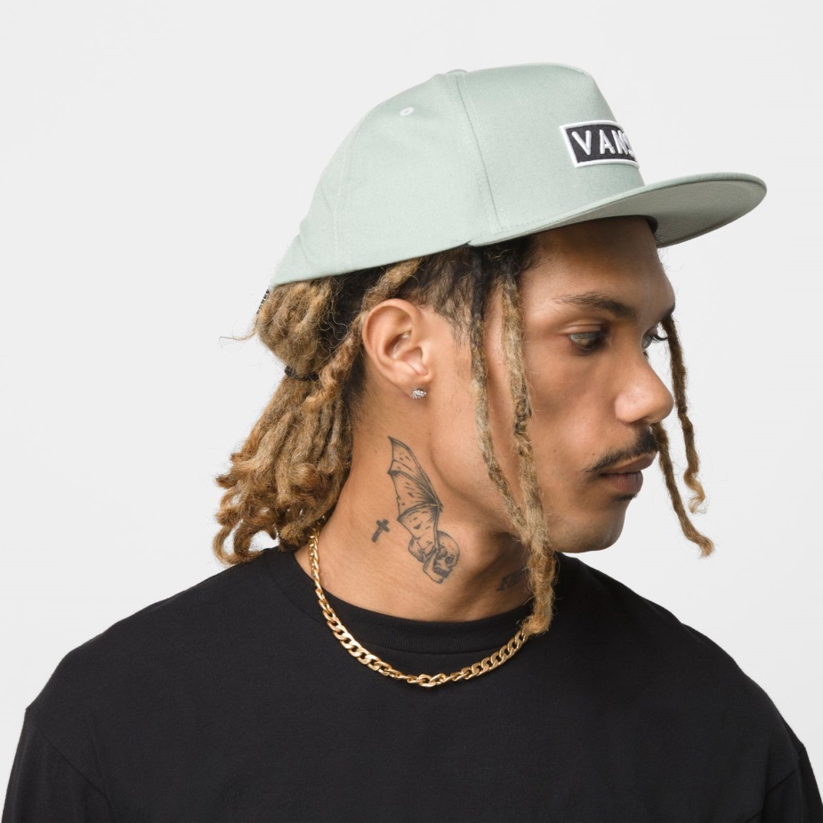 Vans Easy Box Snapback καπέλο πράσινο περιβάλλον