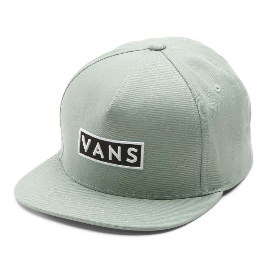 Vans Easy Box Snapback καπέλο πράσινο περιβάλλον