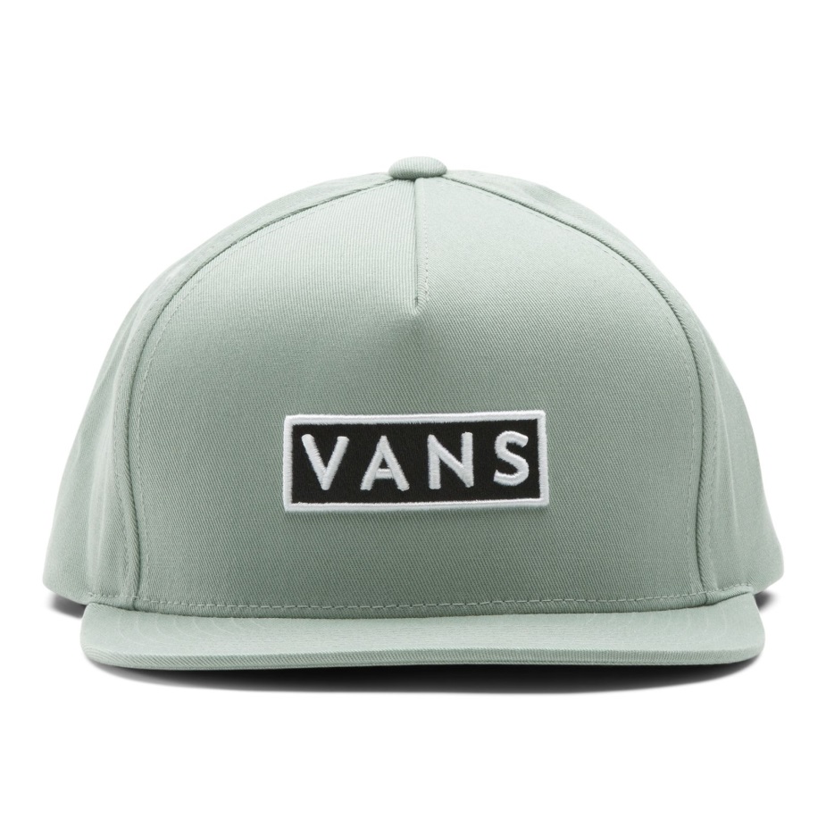 Vans Easy Box Snapback καπέλο πράσινο περιβάλλον