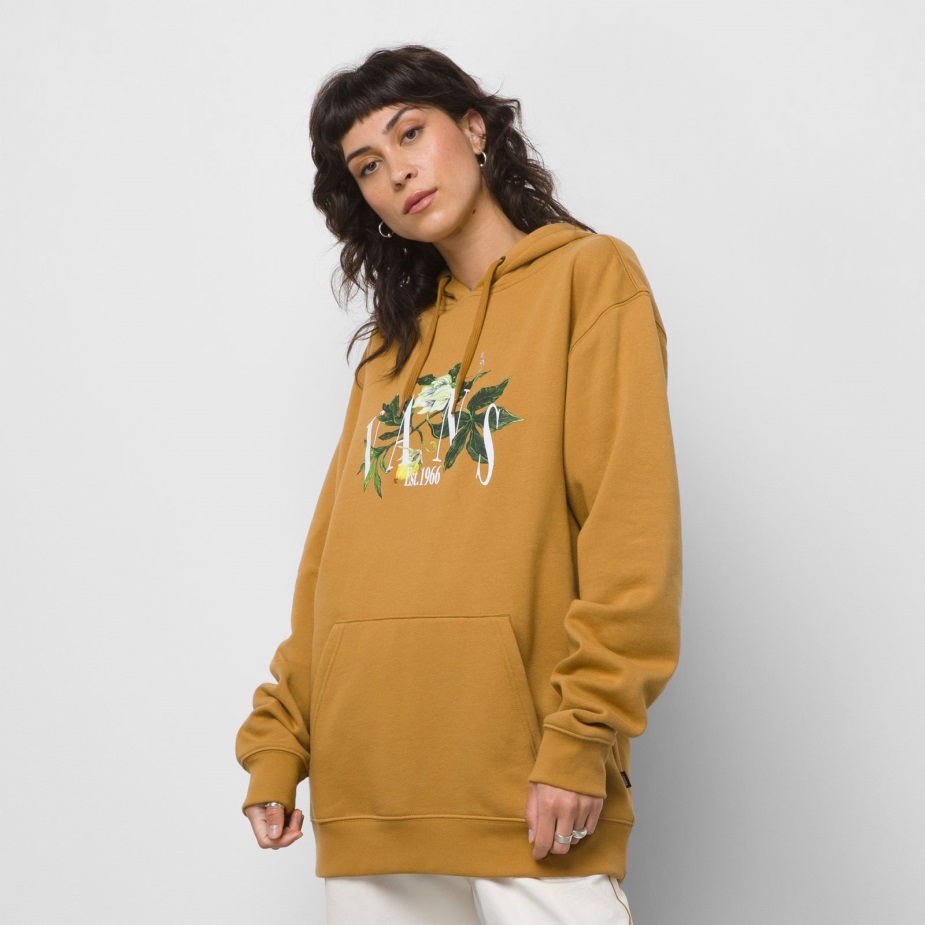 Vans Greener Grounds Hoodie Hoodie καφέ