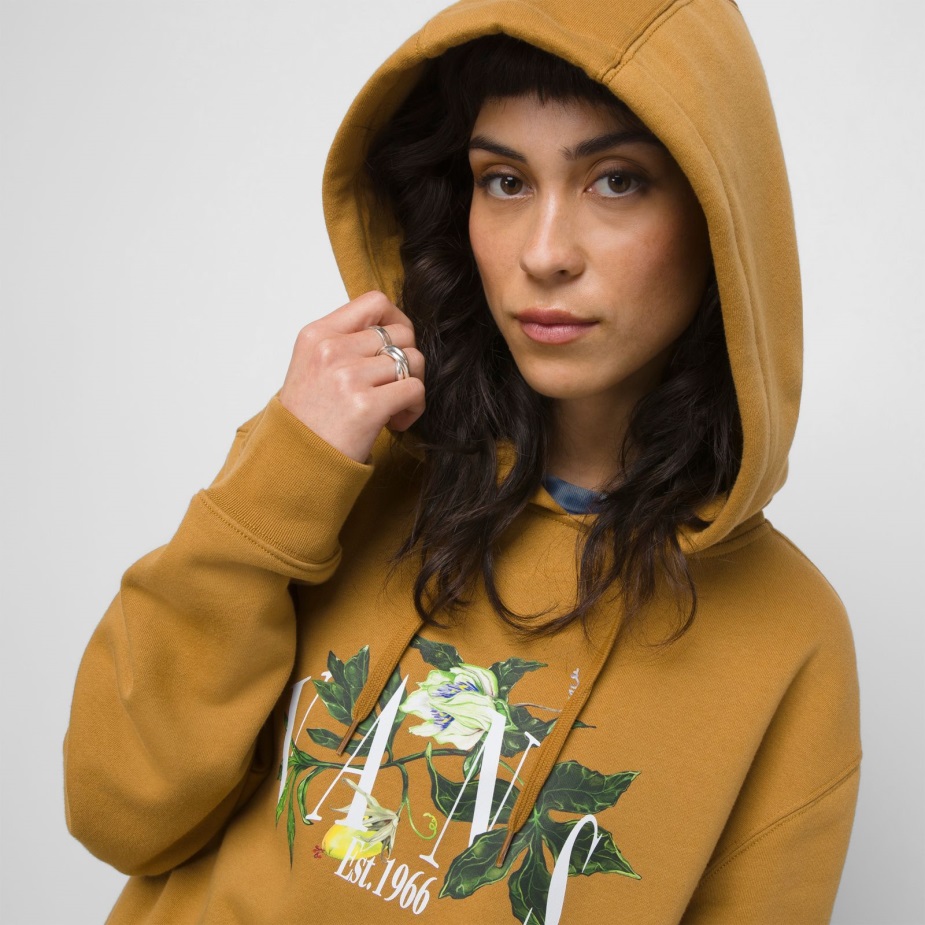 Vans Greener Grounds Hoodie Hoodie καφέ