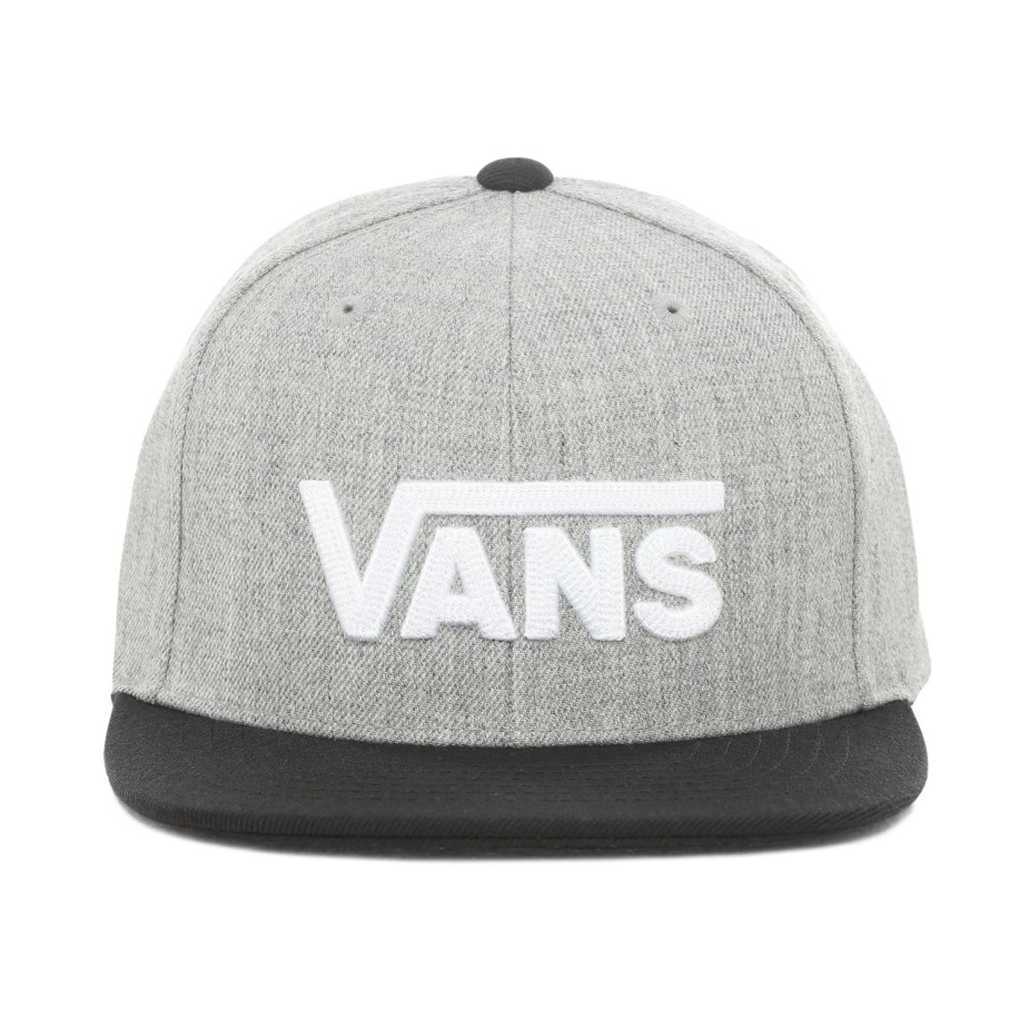 Vans Kids Drop V καπέλο Snapback (8-14 ετών) γκρι