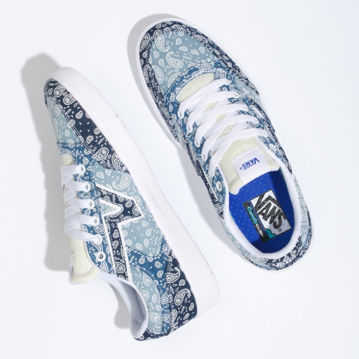 Vans Lowland Cc Multi-true White