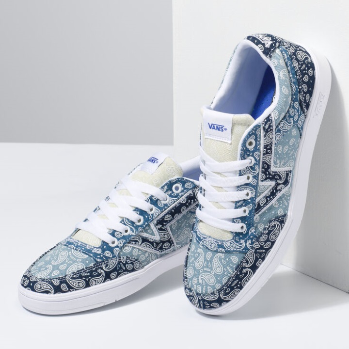 Vans Lowland Cc Multi-true White