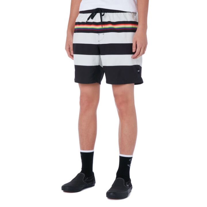 Vans Pride Stripe Volley Boardshort μαύρο-ουράνιο τόξο