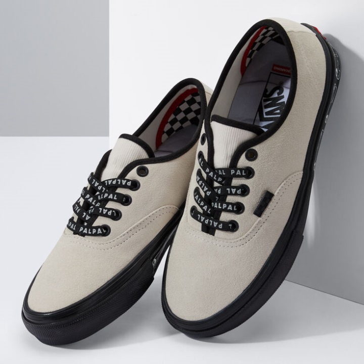 Vans Skate αυθεντικό (παλπάλ) λευκό