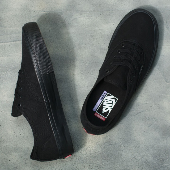 Vans Skate αυθεντικό μαύρο-μαύρο