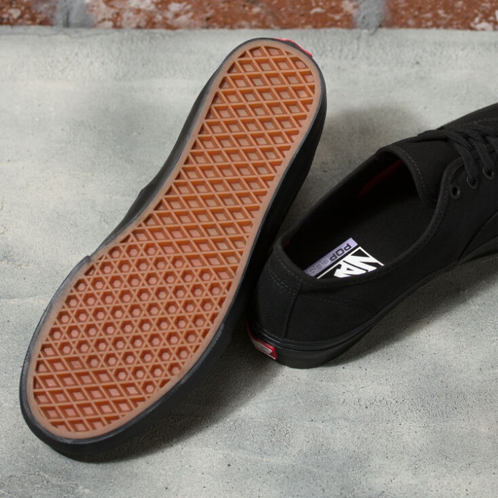 Vans Skate αυθεντικό μαύρο-μαύρο