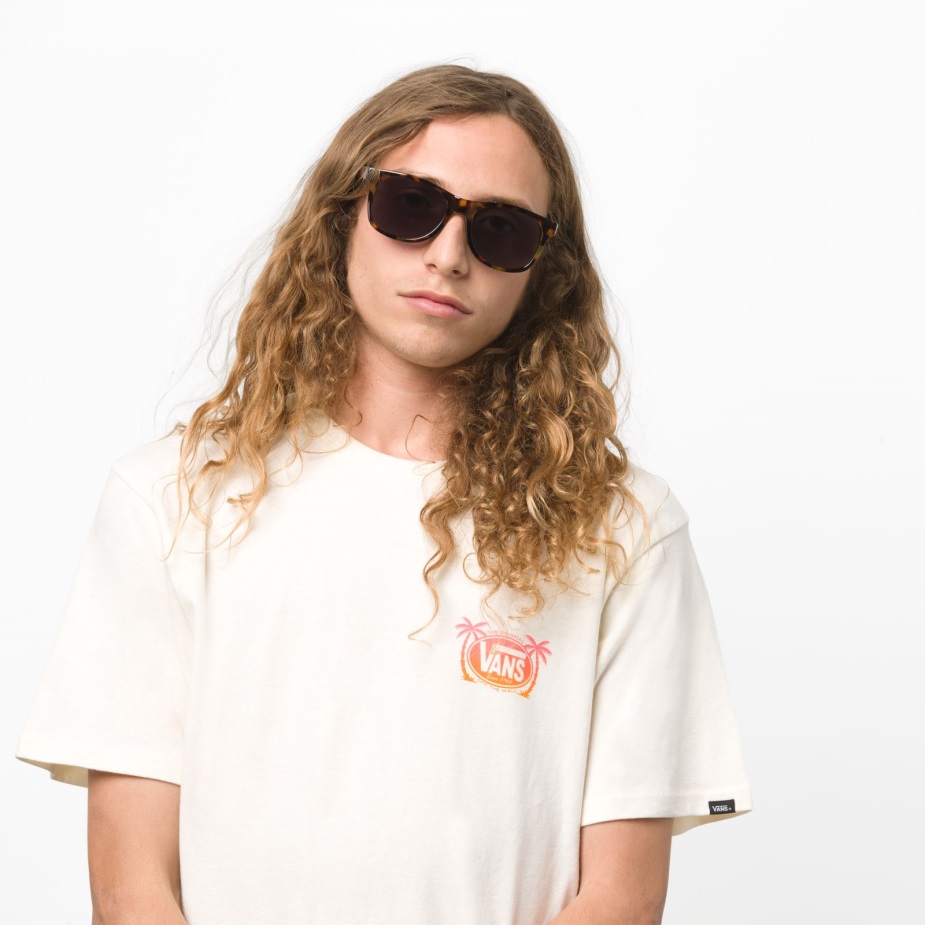 Vans Spicoli 4 γυαλιά ηλίου τσίτα χελώνα