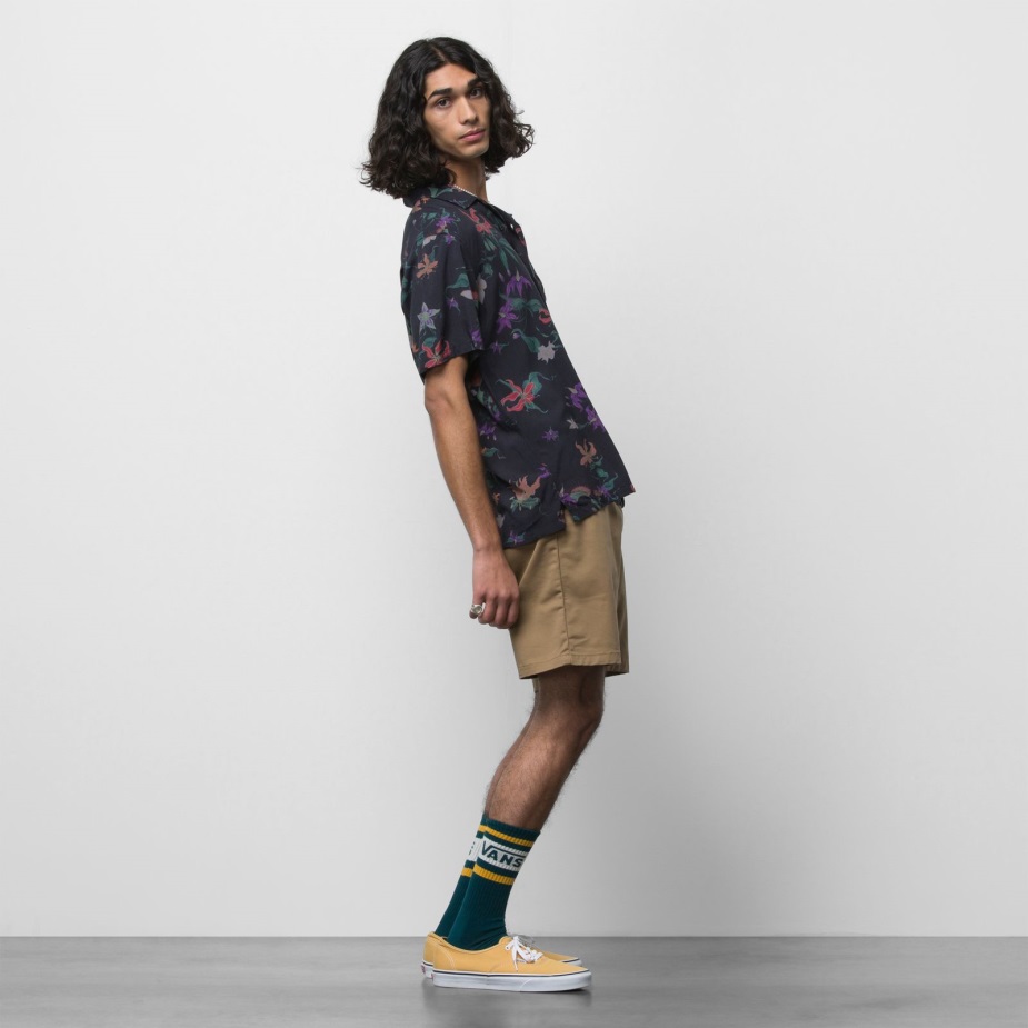 Vans αυθεντικό Chino χαλαρό κοντό χώμα 20\