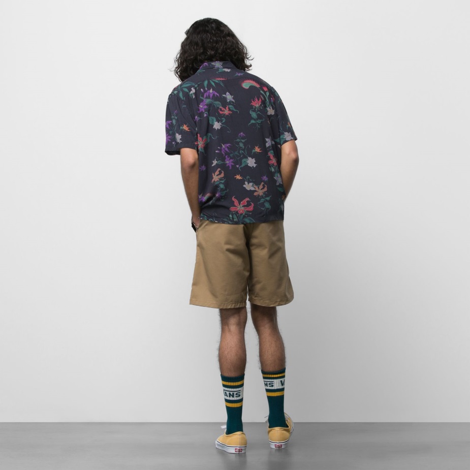 Vans αυθεντικό Chino χαλαρό κοντό χώμα 20\