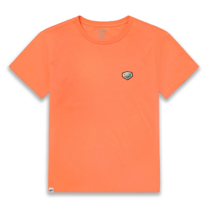 Vans εποχιακό λογότυπο μπλουζάκι πεπόνι