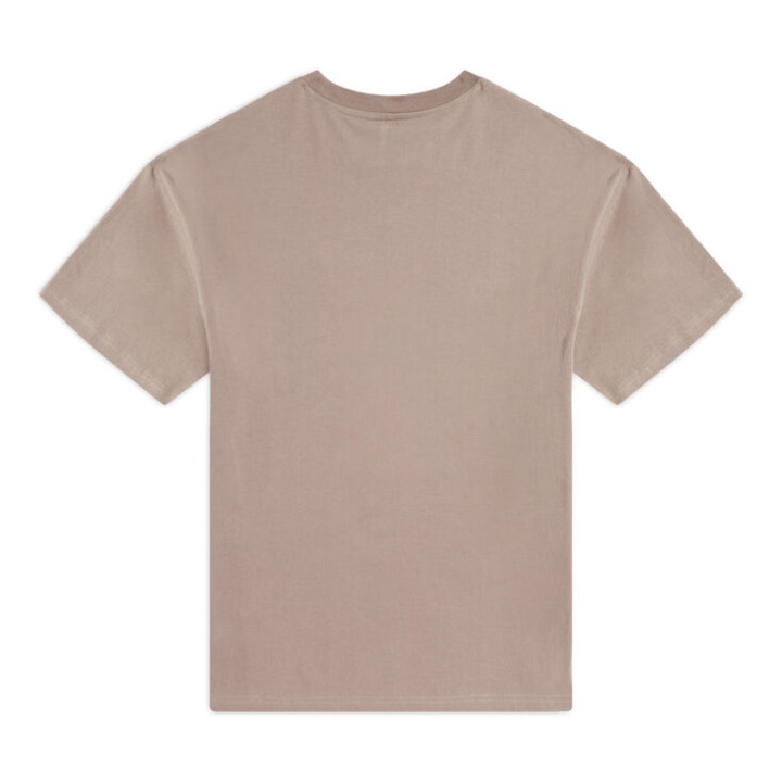 Vans μεγάλου μεγέθους δικτυωτό μπλουζάκι Desert Taupe