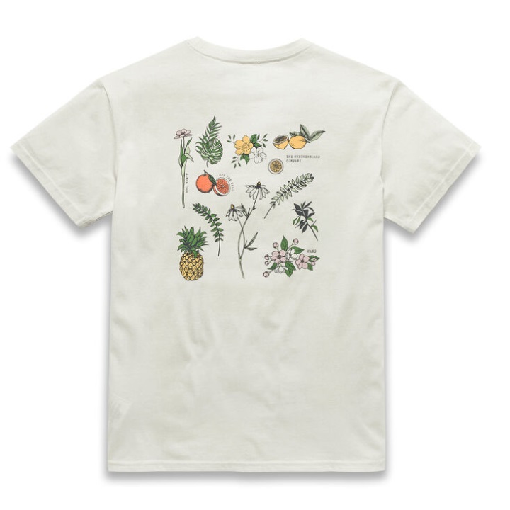 Vans μπλουζάκι βοτανικού κήπου Marshmallow