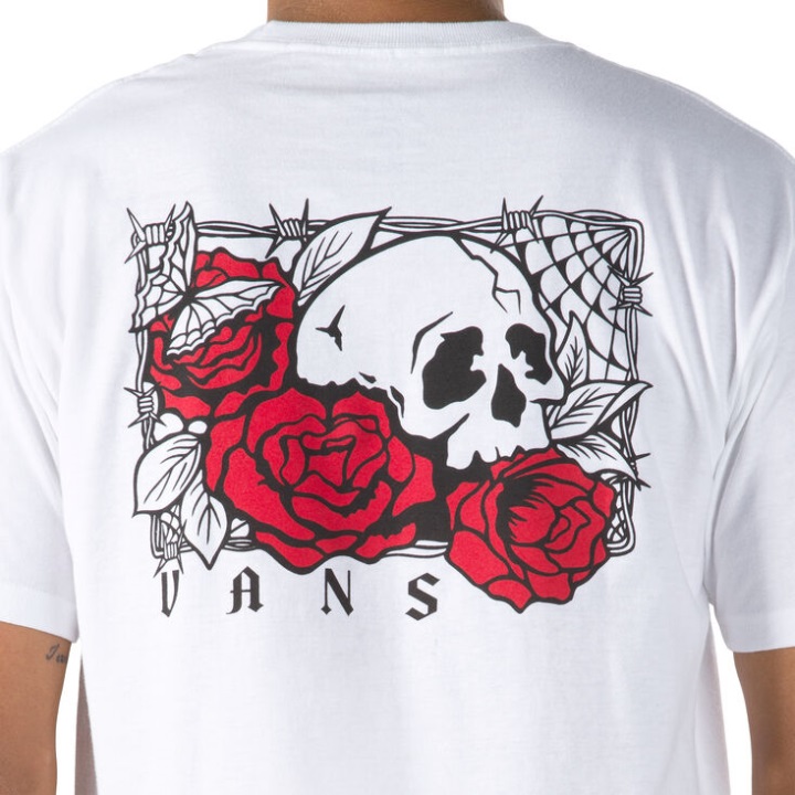 Vans ροζ μπλουζάκι λευκό