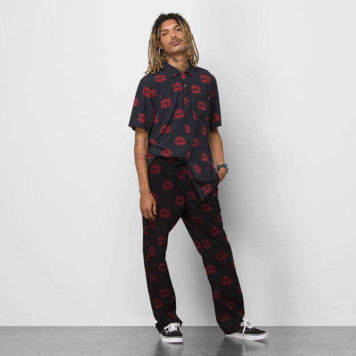 λάτρεις των λουλουδιών