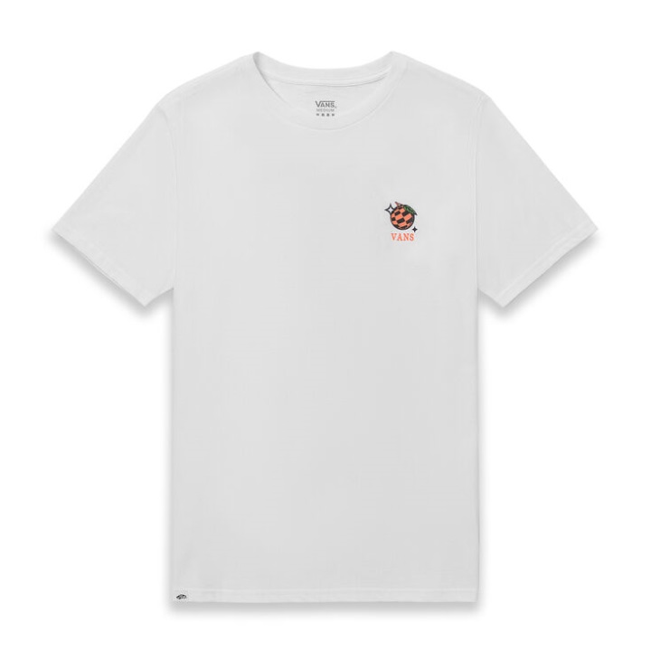 Vans μπλουζάκι βοτανικού κήπου λευκό