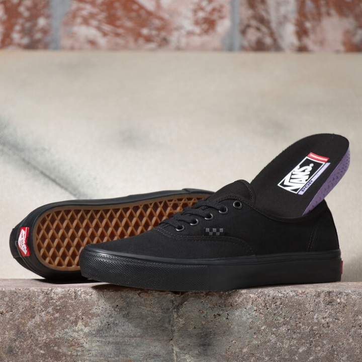 Vans Skate αυθεντικό μαύρο-μαύρο