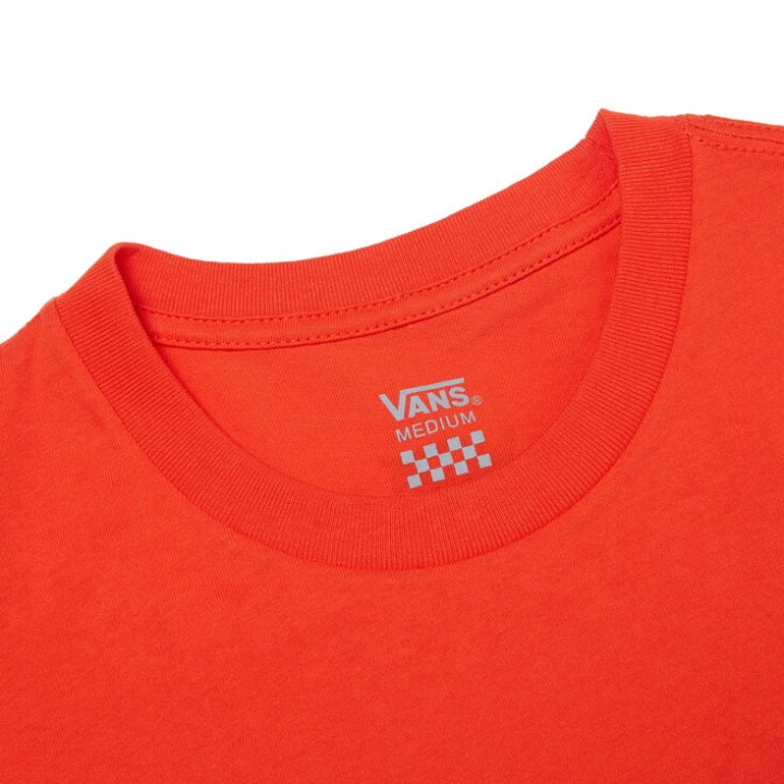 έμβλημα βαν μπαλονιού μπλουζάκι πικάντικο πορτοκαλί