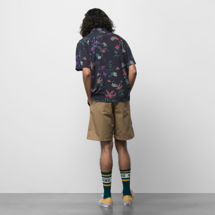 βαν αυθεντικό Chino χαλαρό κοντό χώμα