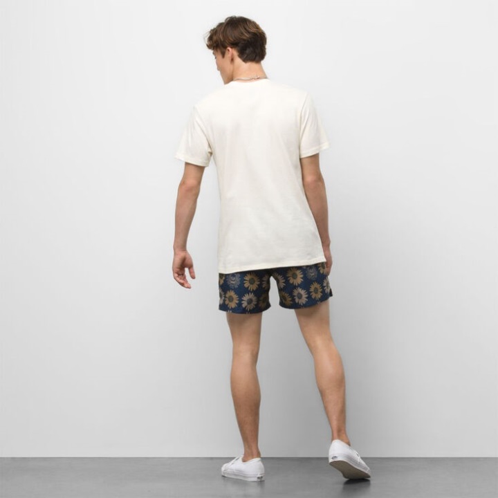 βαν μικτά βόλεϊ σορτς μαργαρίτα πούλι