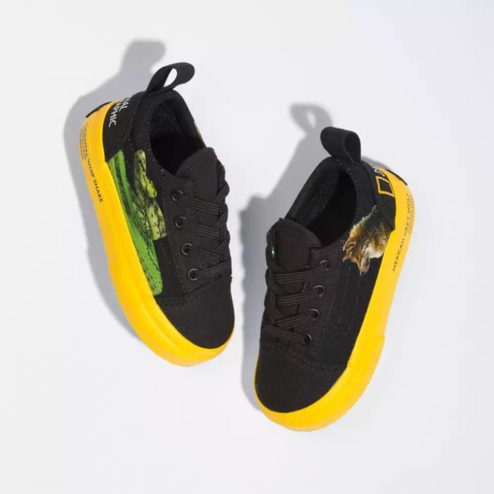 κιβωτός φωτογραφιών