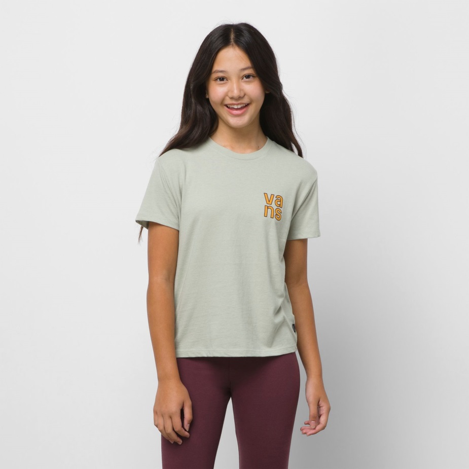 φορτηγά για παιδιά Van Doren Ridge Crew Tee Desert Sage