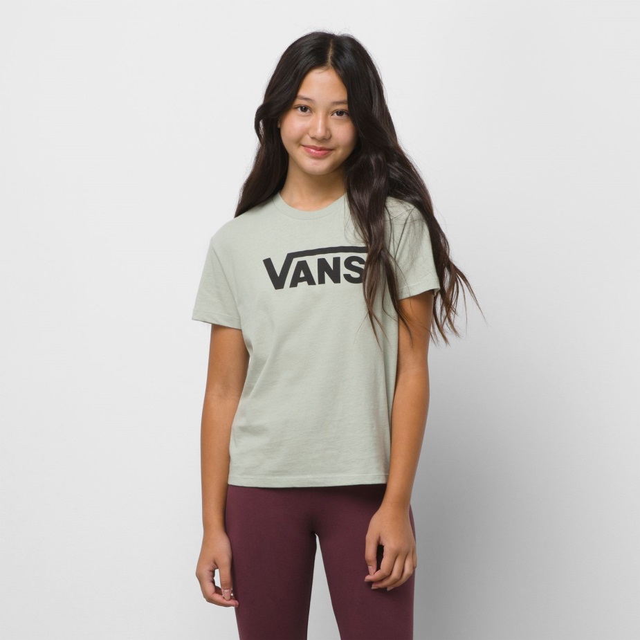 φορτηγά παιδιά που πετούν V Crew Tee Desert Sage