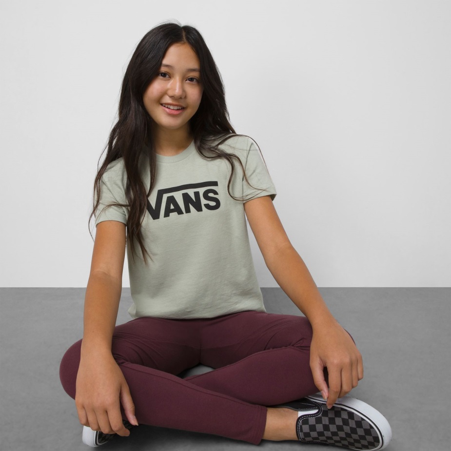 φορτηγά παιδιά που πετούν V Crew Tee Desert Sage