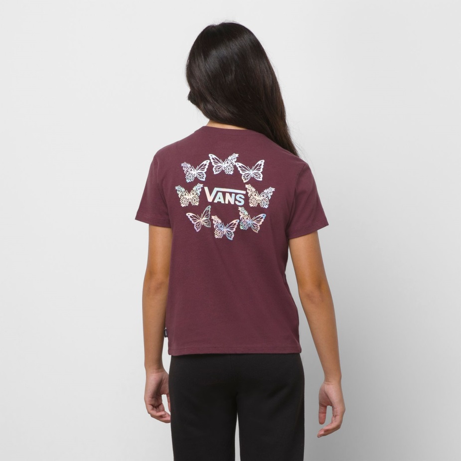 σταφύλι Catawba