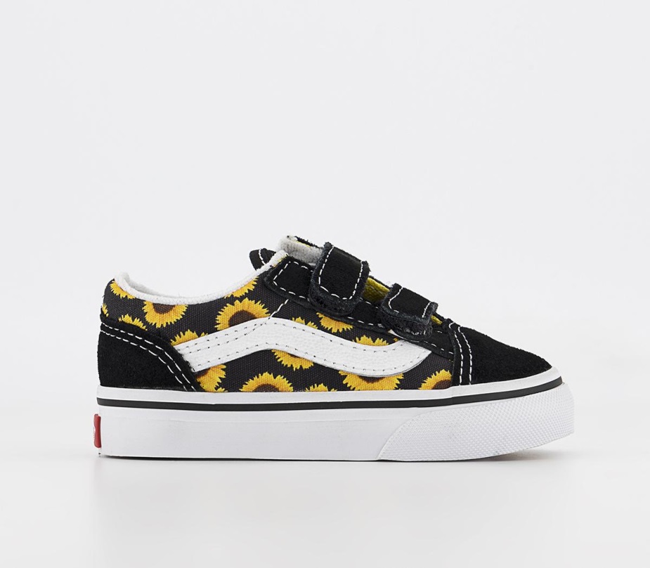 ηλίανθος μαύρο κίτρινο